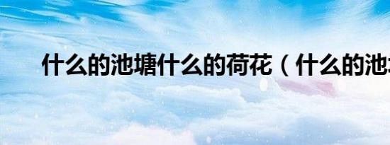 什么的池塘什么的荷花（什么的池塘）