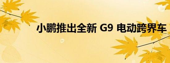 小鹏推出全新 G9 电动跨界车