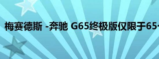 梅赛德斯 -奔驰 G65终极版仅限于65个示例