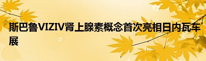 斯巴鲁VIZIV肾上腺素概念首次亮相日内瓦车展(图1)