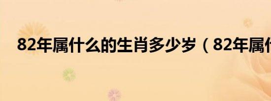 82年属什么的生肖多少岁（82年属什么）