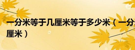 一分米等于几厘米等于多少米（一分米等于几厘米）