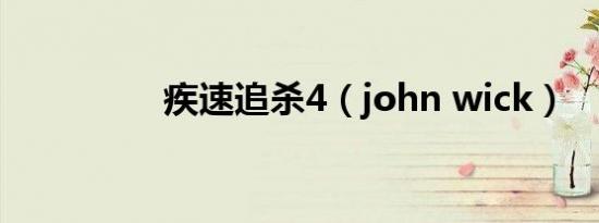 疾速追杀4（john wick）