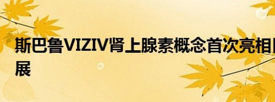 斯巴鲁VIZIV肾上腺素概念首次亮相日内瓦车展