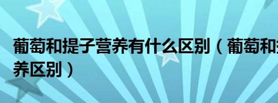 葡萄和提子营养有什么区别（葡萄和提子的营养区别）