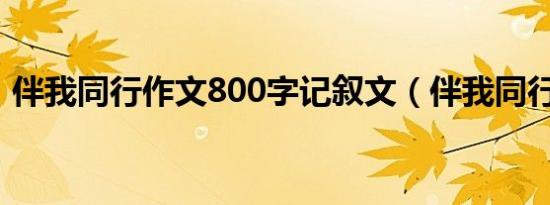 伴我同行作文800字记叙文（伴我同行作文）