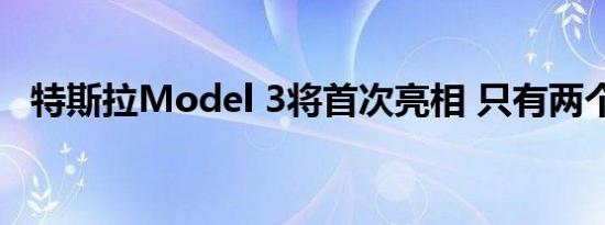 特斯拉Model 3将首次亮相 只有两个选项