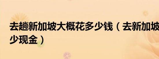 去趟新加坡大概花多少钱（去新加坡5天带多少现金）