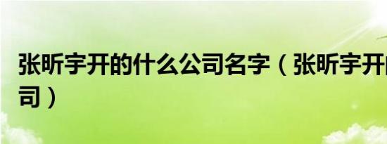 张昕宇开的什么公司名字（张昕宇开的什么公司）