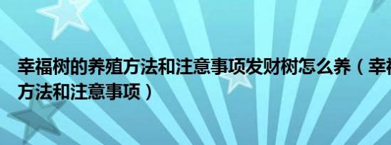 幸福树的养殖方法和注意事项发财树怎么养（幸福树的养殖方法和注意事项）