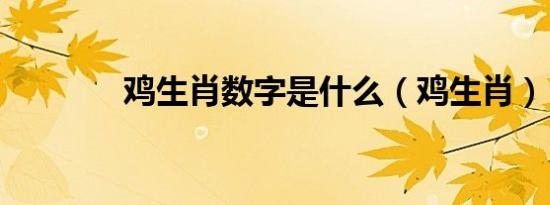 鸡生肖数字是什么（鸡生肖）