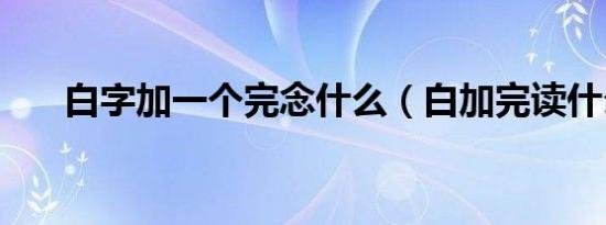 白字加一个完念什么（白加完读什么）