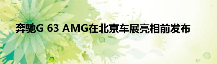 奔驰G 63 AMG在北京车展亮相前发布(图1)