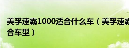 美孚速霸1000适合什么车（美孚速霸1000适合车型）