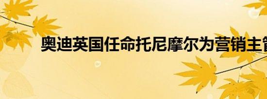 奥迪英国任命托尼摩尔为营销主管