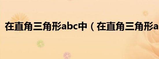 在直角三角形abc中（在直角三角形abc中）