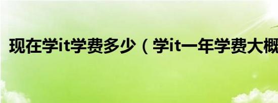 现在学it学费多少（学it一年学费大概多少）