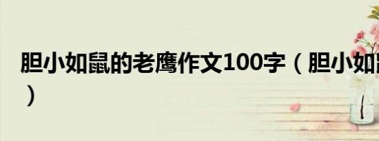 胆小如鼠的老鹰作文100字（胆小如鼠的老鹰）