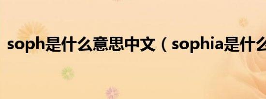 soph是什么意思中文（sophia是什么意思）