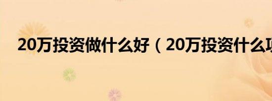 20万投资做什么好（20万投资什么项目）