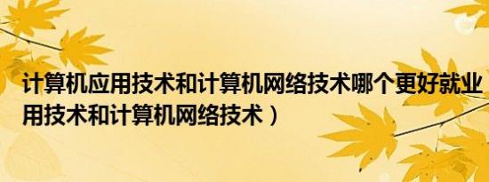 计算机应用技术和计算机网络技术哪个更好就业（计算机应用技术和计算机网络技术）