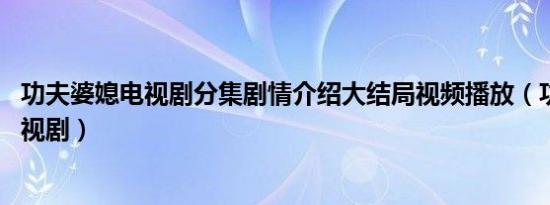 功夫婆媳电视剧分集剧情介绍大结局视频播放（功夫婆媳 电视剧）