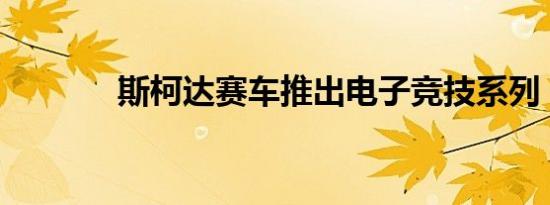 斯柯达赛车推出电子竞技系列