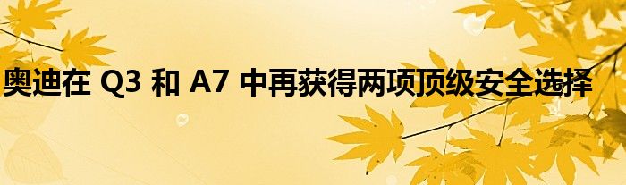 奥迪在 Q3 和 A7 中再获得两项顶级安全选择(图1)