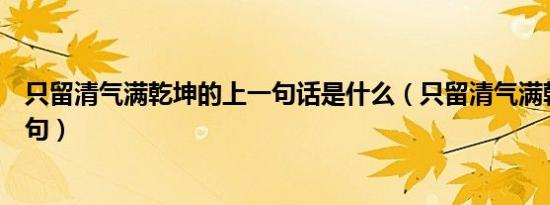 只留清气满乾坤的上一句话是什么（只留清气满乾坤的上一句）