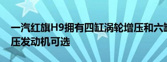 一汽红旗H9拥有四缸涡轮增压和六缸机械增压发动机可选