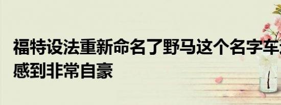 福特设法重新命名了野马这个名字车迷们为此感到非常自豪