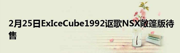 2月25日ExIceCube1992讴歌NSX敞篷版待售(图1)