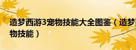 造梦西游3宠物技能大全图鉴（造梦西游3宠物技能）