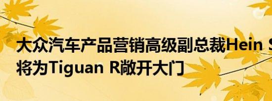 大众汽车产品营销高级副总裁Hein Schafer 将为Tiguan R敞开大门