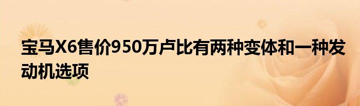 宝马X6售价950万卢比有两种变体和一种发动机选项(图1)