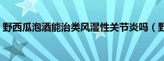 野西瓜泡酒能治类风湿性关节炎吗（野西瓜）