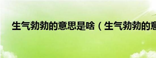 生气勃勃的意思是啥（生气勃勃的意思）