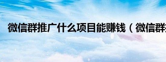 微信群推广什么项目能赚钱（微信群推广）