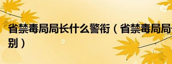 省禁毒局局长什么警衔（省禁毒局局长什么级别）