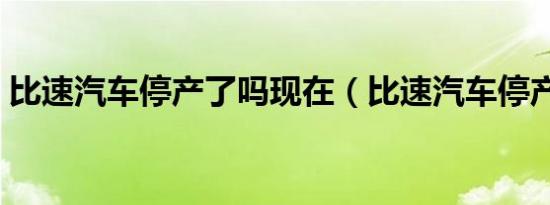 比速汽车停产了吗现在（比速汽车停产了吗）