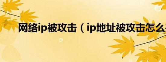 网络ip被攻击（ip地址被攻击怎么办）