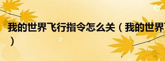 我的世界飞行指令怎么关（我的世界飞行指令）