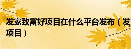 发家致富好项目在什么平台发布（发家致富好项目）