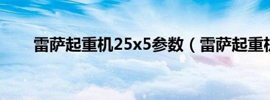 雷萨起重机25x5参数（雷萨起重机）