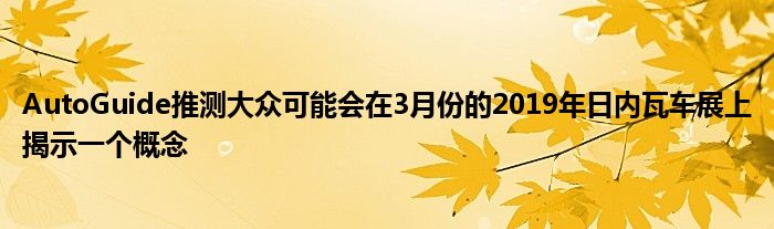 AutoGuide推测大众可能会在3月份的2019年日内瓦车展上揭示一个概念(图1)