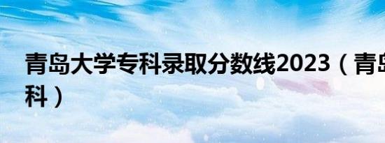 青岛大学专科录取分数线2023（青岛大学专科）