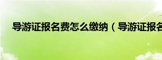 导游证报名费怎么缴纳（导游证报名费）