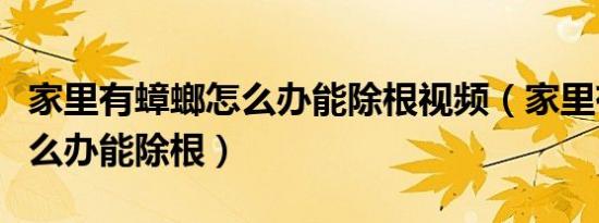 家里有蟑螂怎么办能除根视频（家里有蟑螂怎么办能除根）