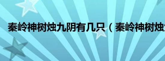 秦岭神树烛九阴有几只（秦岭神树烛九阴）