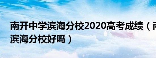 南开中学滨海分校2020高考成绩（南开中学滨海分校好吗）